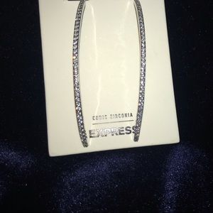 Long drop Express Earrings